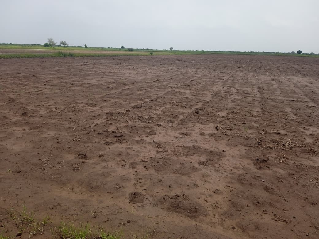 JR1062 - લીંબડી (પાણસીણા ગામ) ખાતે 9 વિઘા ખેતીલાયક જમીન વેચાણ માટે – (જિલ્લો - સુરેન્દ્રનગર)