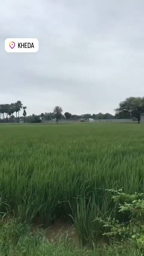 JR1005 - ખેડા જિલ્લાના વનસર ગામે N/A પ્લોટ (2 વિઘા) ફાર્મહાઉસ માટેની તૈયાર જમીન