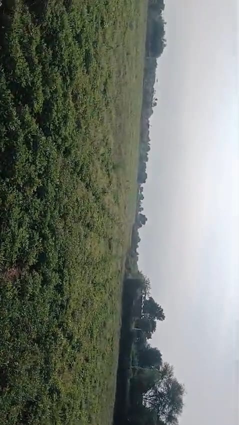 JR1002 - બાયડ (સુલતાનપુર માં) 25 વિઘા જમીન વેચાણ માટે