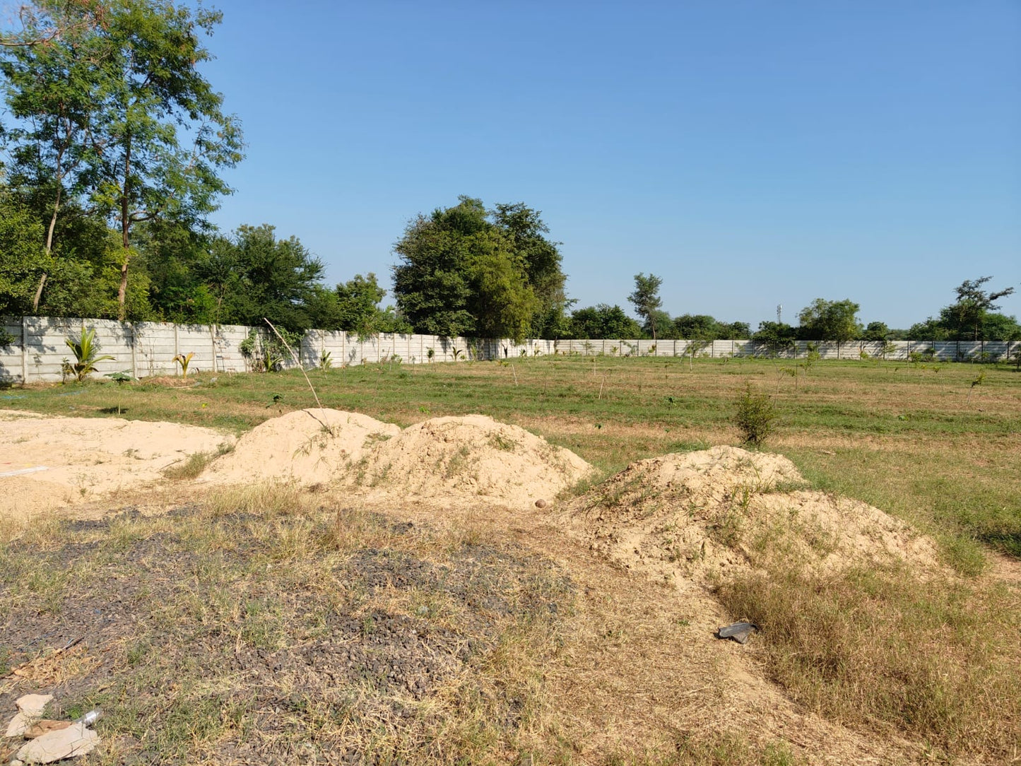 JR1018 - Sadara Village (Mahemdavad) ખાતે 2.5 વીઘા તૈયાર Farm House વેચાણ માટે — ફળના છોડ, બોર અને RCC દીવાલ