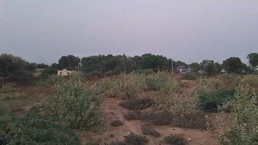 JR1015 - બારેજા – ખેડા હાઇવે પર રોડ ટચ 7500 વાર N/A LAND વેચાણ માટે ઉપલબ્ધ