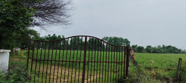 JR1025 - કપડવંજ (ઠુંચાલ ગામ) ખાતે 15 વીઘા ટાઈટલ ક્લીયર જમીન વેચાણ માટે ઉપલબ્ધ | 30% બાટર વિકલ્પ ઉપલબ્ધ