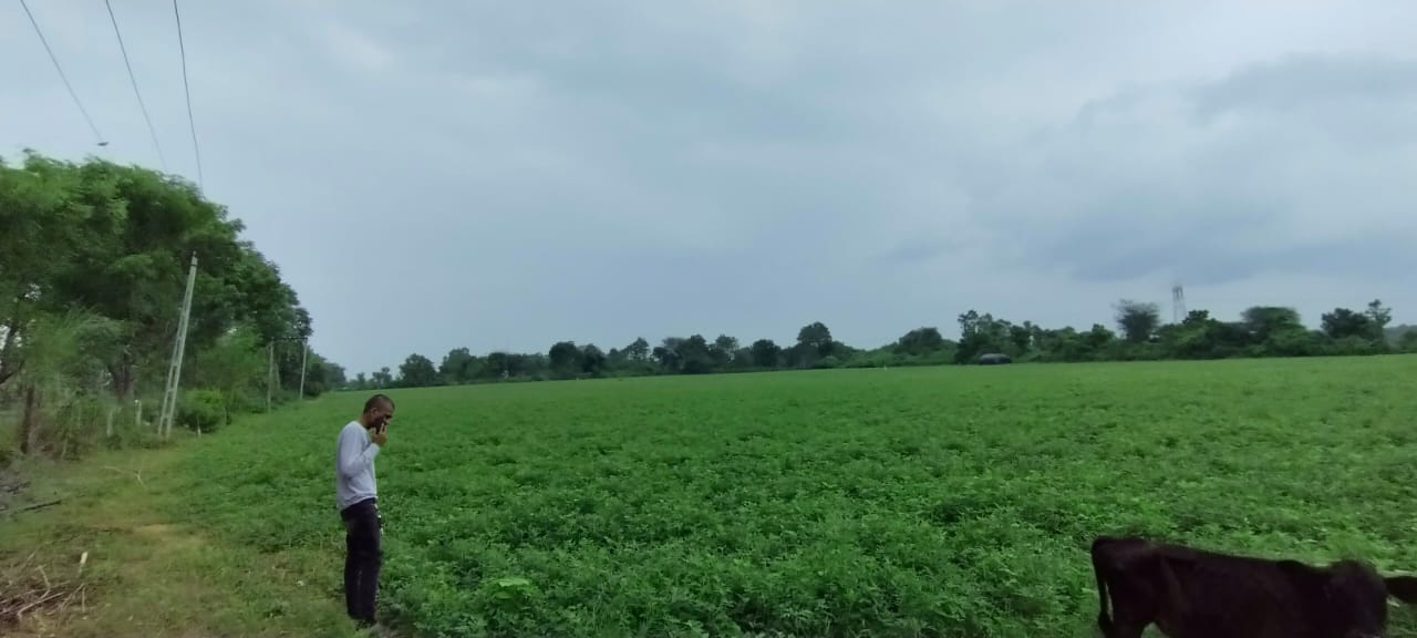 JR1025 - કપડવંજ (ઠુંચાલ ગામ) ખાતે 15 વીઘા ટાઈટલ ક્લીયર જમીન વેચાણ માટે ઉપલબ્ધ | 30% બાટર વિકલ્પ ઉપલબ્ધ