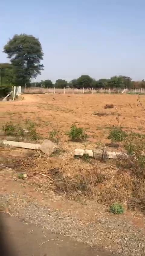 JR1027 - કઠલાલ માં (ભાટેરા ગામ) માં ટોટલ 5 વીઘાં જગ્યા વેચવાની છે - (જિલ્લો - ખેડા)