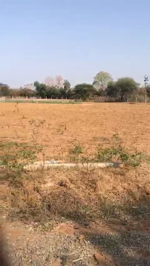 JR1027 - કઠલાલ માં (ભાટેરા ગામ) માં ટોટલ 5 વીઘાં જગ્યા વેચવાની છે - (જિલ્લો - ખેડા)