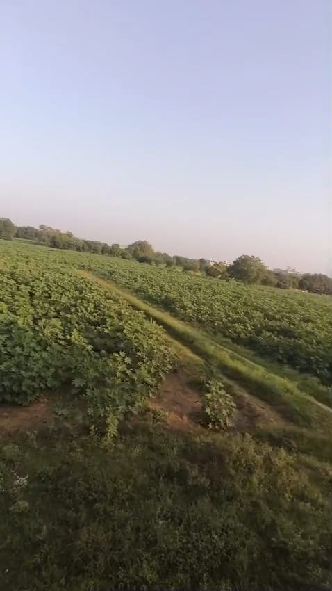 JR1033 - કડી (રાજપુર ગામ) ખાતે ચડાસણા રોડ પર 55 વીઘાનો રોડ ટચ મોટો ગોળો વેચાણ માટે ઉપલબ્ધ - (જિલ્લો - મહેસાણા)