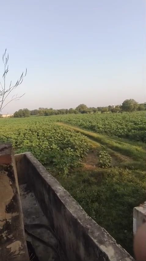 JR1033 - કડી (રાજપુર ગામ) ખાતે ચડાસણા રોડ પર 55 વીઘાનો રોડ ટચ મોટો ગોળો વેચાણ માટે ઉપલબ્ધ - (જિલ્લો - મહેસાણા)