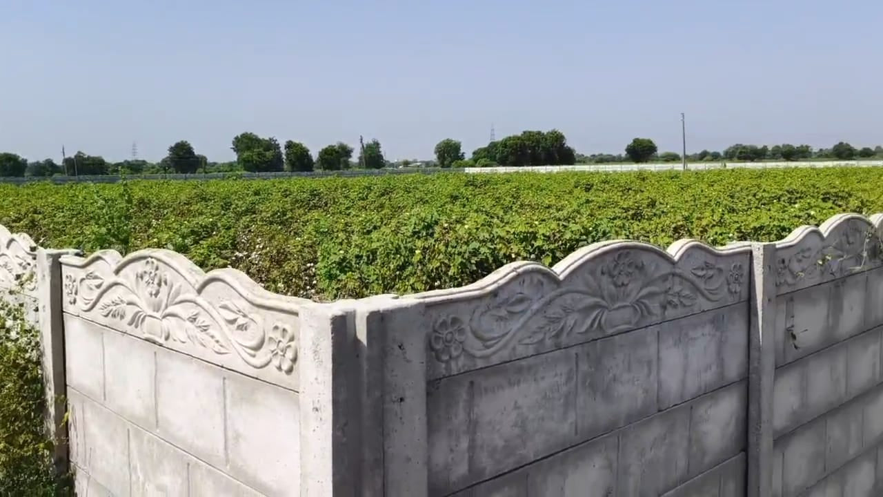 JR1035 - ગાંધીનગર (વરસોડા ગામ, માણસા) ખાતે 57 ગુઠા જમીન વેચાણ માટે ઉપલબ્ધ