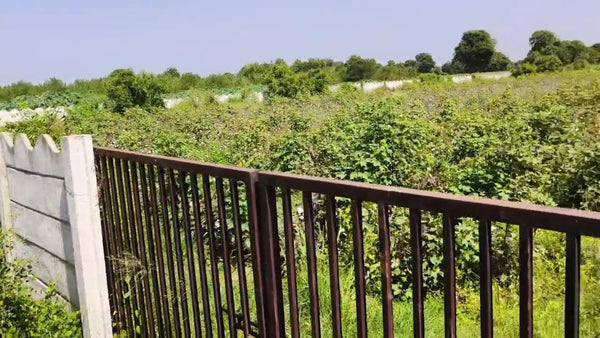 JR1036 - ગાંધીનગર [ ઇશ્વરપુરા (બદપુરા) ગામ, માણસા ] ખાતે 36 ગુઠા જમીન વેચાણ માટે ઉપલબ્ધ