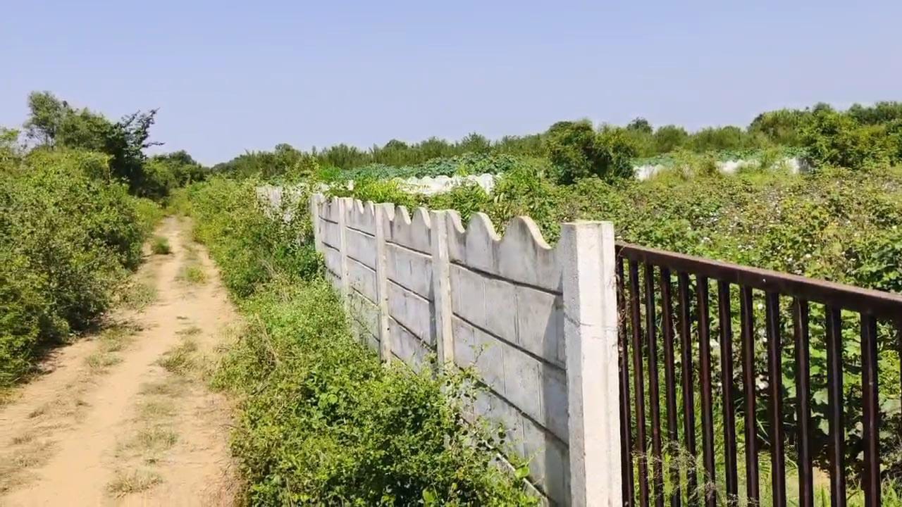 JR1036 - ગાંધીનગર [ ઇશ્વરપુરા (બદપુરા) ગામ, માણસા ] ખાતે 36 ગુઠા જમીન વેચાણ માટે ઉપલબ્ધ