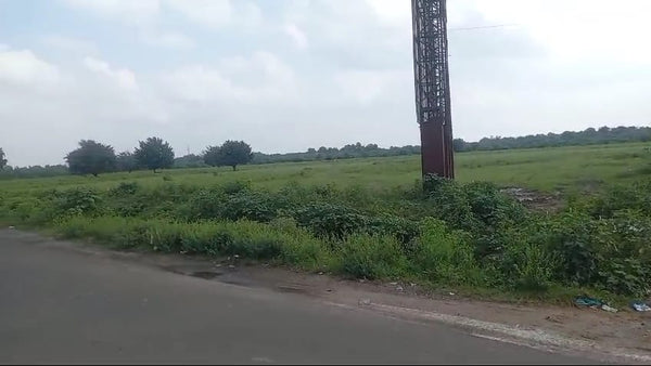 JR1042 - ગાંધીનગર (શેરથા) ખાતે 20 વીઘા ટાઈટલ ક્લીયર જમીન વેચાણ માટે ઉપલબ્ધ | અડાલજ ટોલનાકા નજીક