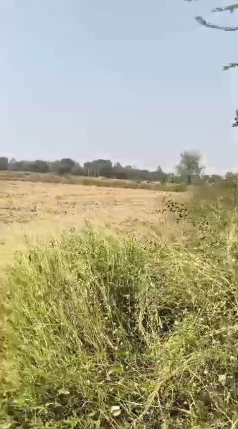 JR1045 - સાણંદ (મોટી દેવતી) ખાતે 2.25 વીઘા ટાઈટલ ક્લીયર જમીન વેચાણ માટે ઉપલબ્ધ | ઈનવેસ્ટમેન્ટ માટે શ્રેષ્ઠ લોકેશન