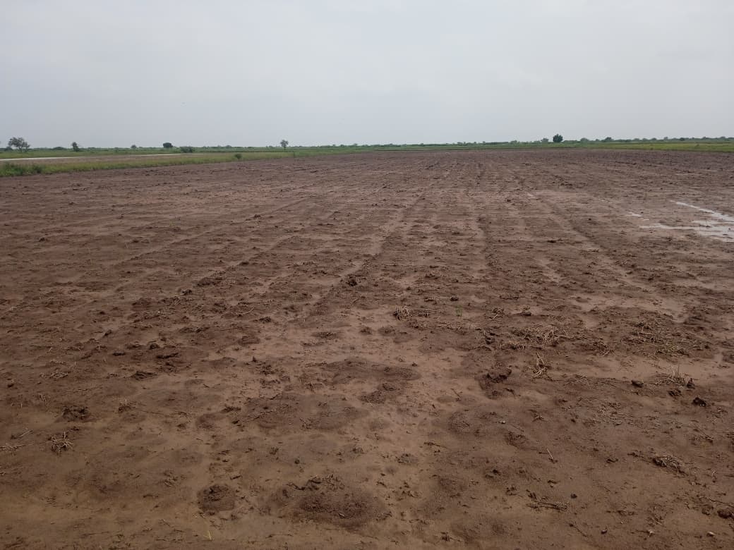 JR1062 - લીંબડી (પાણસીણા ગામ) ખાતે 9 વિઘા ખેતીલાયક જમીન વેચાણ માટે – (જિલ્લો - સુરેન્દ્રનગર)