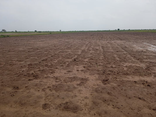 JR1062 - લીંબડી (પાણસીણા ગામ) ખાતે 9 વિઘા ખેતીલાયક જમીન વેચાણ માટે – (જિલ્લો - સુરેન્દ્રનગર)