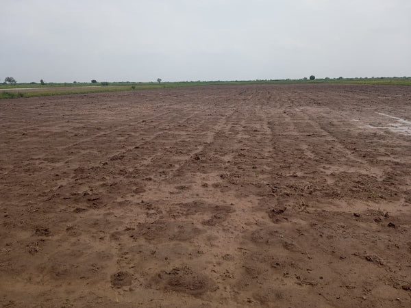 JR1062 - લીંબડી (પાણસીણા ગામ) ખાતે 9 વિઘા ખેતીલાયક જમીન વેચાણ માટે – (જિલ્લો - સુરેન્દ્રનગર)