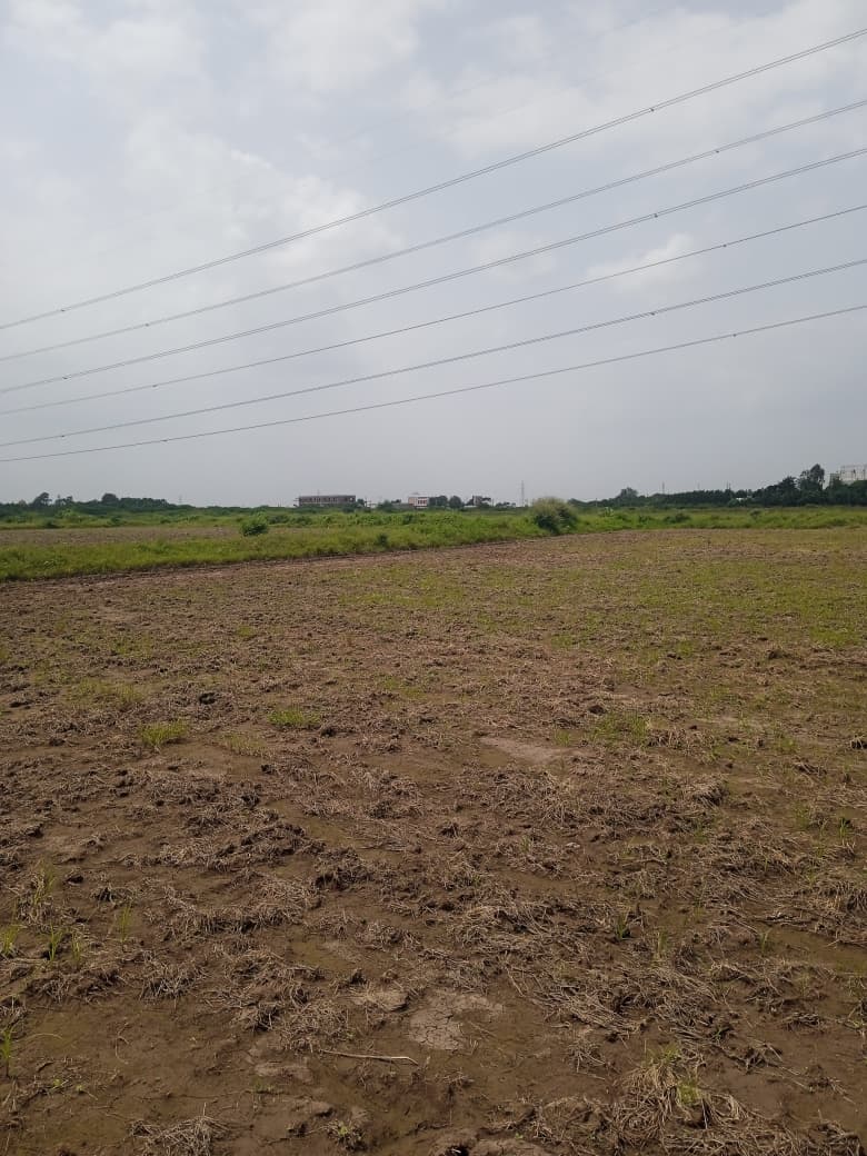 JR1062 - લીંબડી (પાણસીણા ગામ) ખાતે 9 વિઘા ખેતીલાયક જમીન વેચાણ માટે – (જિલ્લો - સુરેન્દ્રનગર)