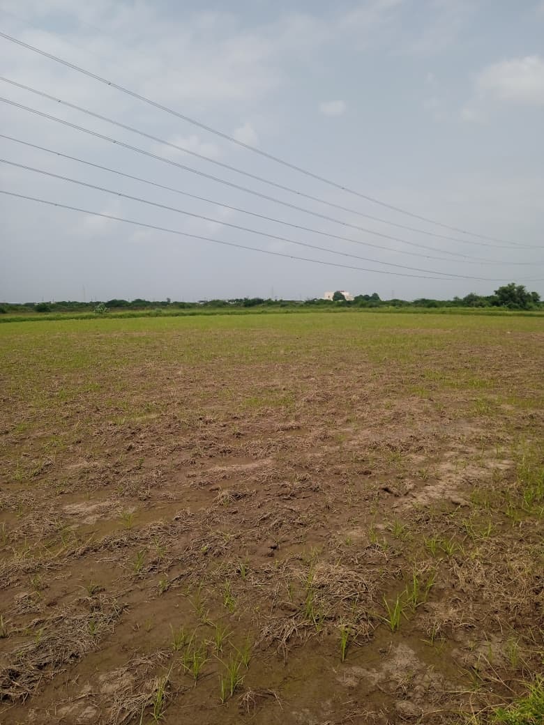 JR1062 - લીંબડી (પાણસીણા ગામ) ખાતે 9 વિઘા ખેતીલાયક જમીન વેચાણ માટે – (જિલ્લો - સુરેન્દ્રનગર)