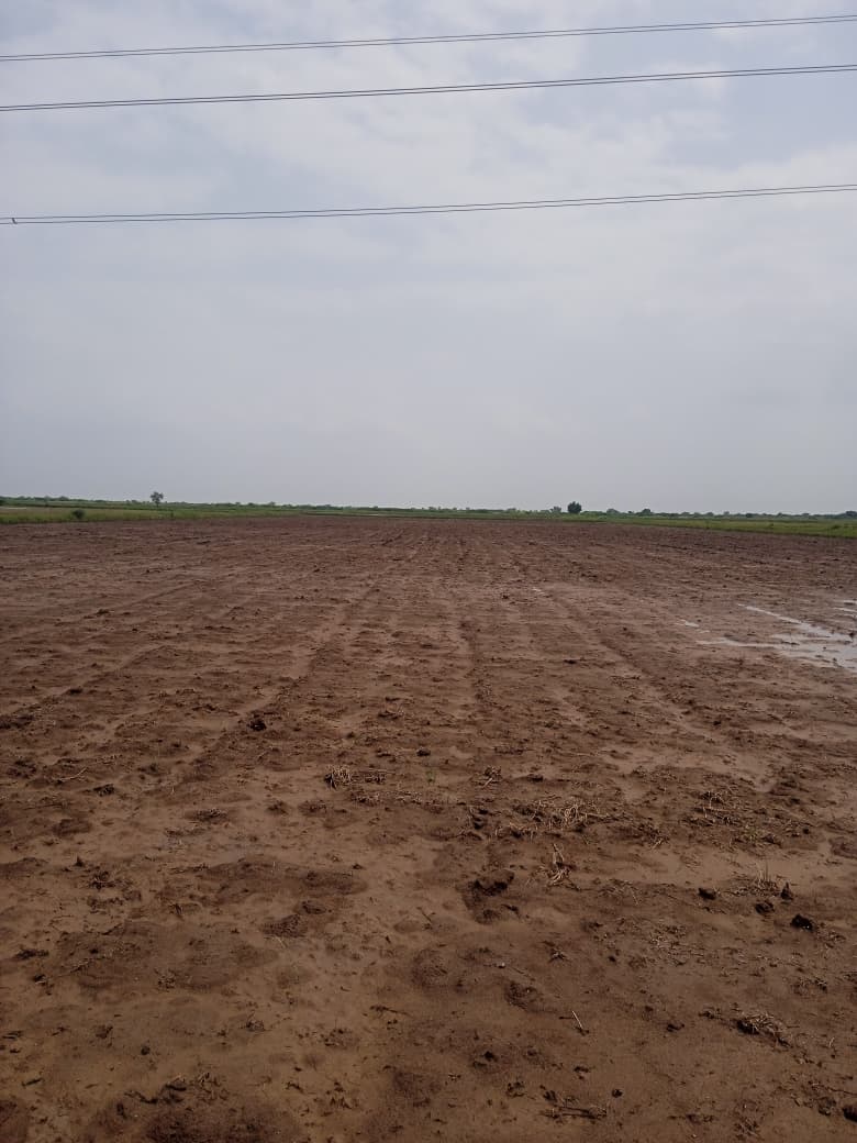 JR1062 - લીંબડી (પાણસીણા ગામ) ખાતે 9 વિઘા ખેતીલાયક જમીન વેચાણ માટે – (જિલ્લો - સુરેન્દ્રનગર)