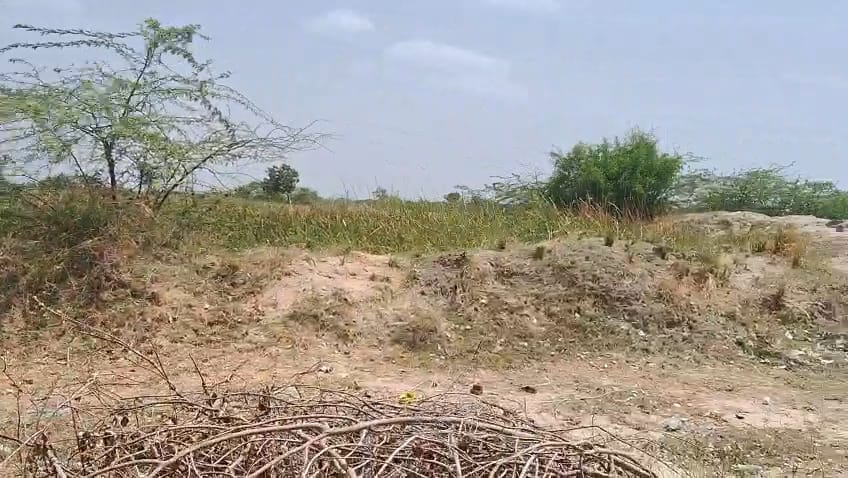 JR1061 - નળસરોવર–સચાણા રોડ પર રોડ-ટચ 20 વિઘા પ્રાઈમ જમીન વેચાણ માટે (મોજે : શાહપુર)