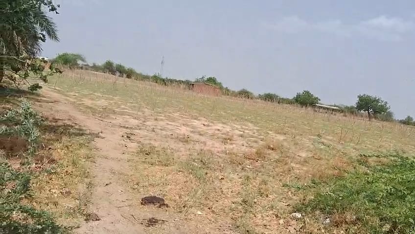 JR1061 - નળસરોવર–સચાણા રોડ પર રોડ-ટચ 20 વિઘા પ્રાઈમ જમીન વેચાણ માટે (મોજે : શાહપુર)