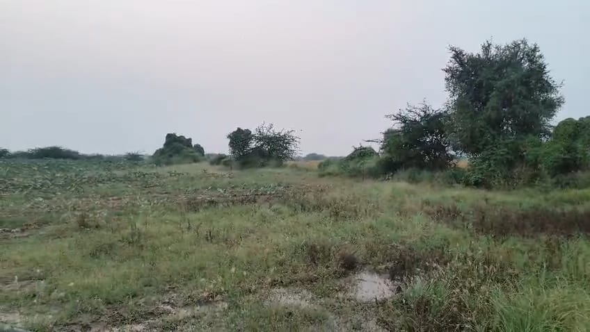 JR1063 - બાવલા (દુમલી ગામ) ખાતે 45 વિઘા ખેતીલાયક એગ્રીકલ્ચર જમીન વેચાણ માટે – (જિલ્લો - અમદાવાદ)