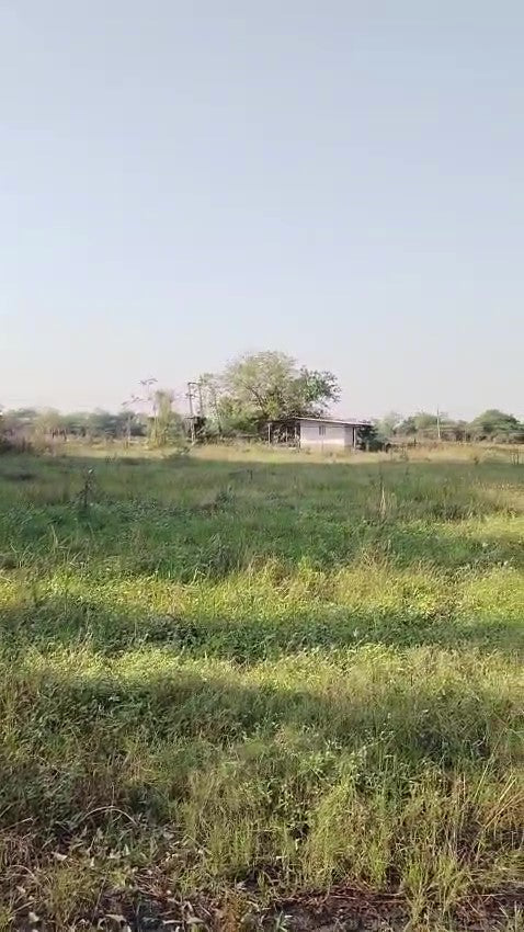 JR1022 - કડી(મહેસાણા) માં કલ્યાણપુરા ગામ ખાતે 9 વીઘા જમીન વેચાણ માટે — સ્પષ્ટ દસ્તાવેજો સાથે તાત્કાલિક ઉપલબ્ધ