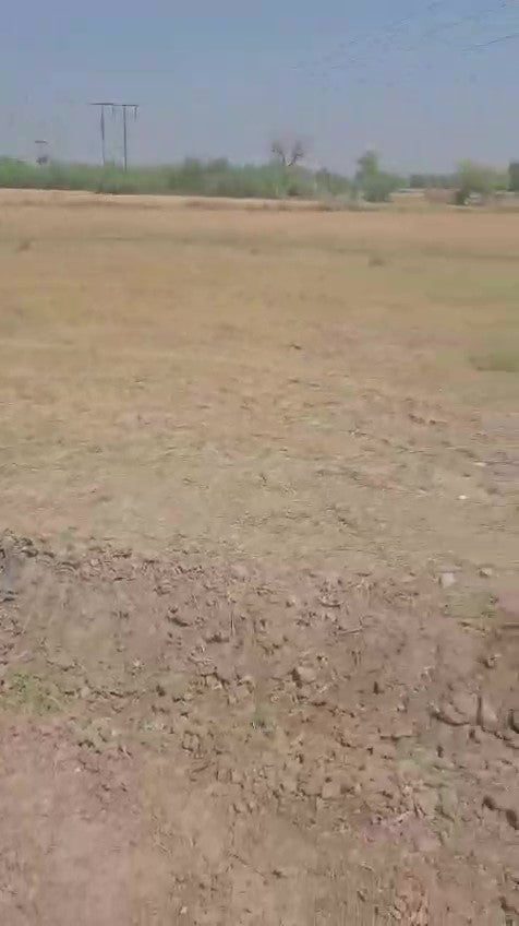 JR1021 - બોરીસના (કડી થી થોલ રોડ પર ગામ આવે) ખાતે 4500 Sq. Yards NA Land વેચાણ માટે — ફાર્મહાઉસ અને ઇન્ડસ્ટ્રી માટે ઉત્તમ સ્થાન