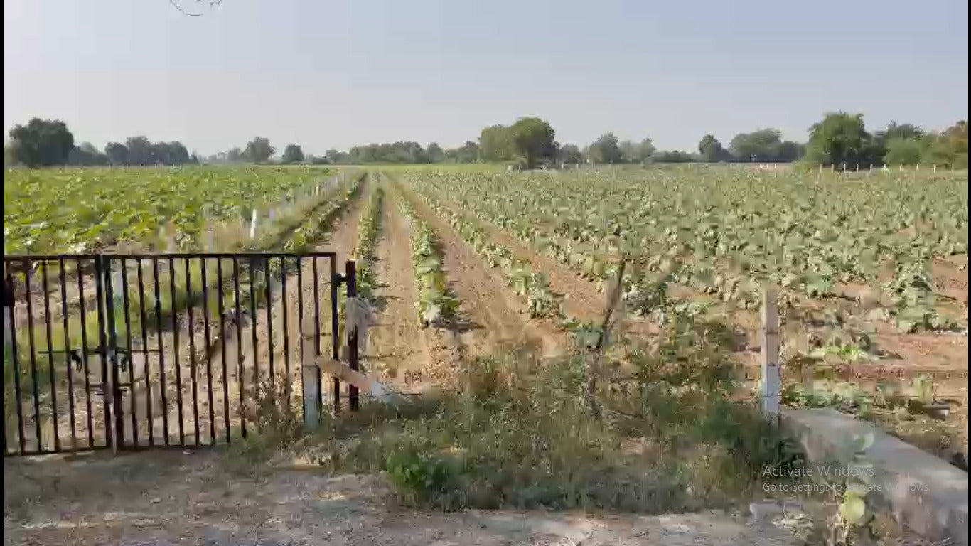 JR1004 - દેત્રોજ - રામપુરા (ભગાપુરા ગામ માં) ટોટલ 12 વીઘાં જગ્યા વેચવાની છે - (જિલ્લો - અમદાવાદ)