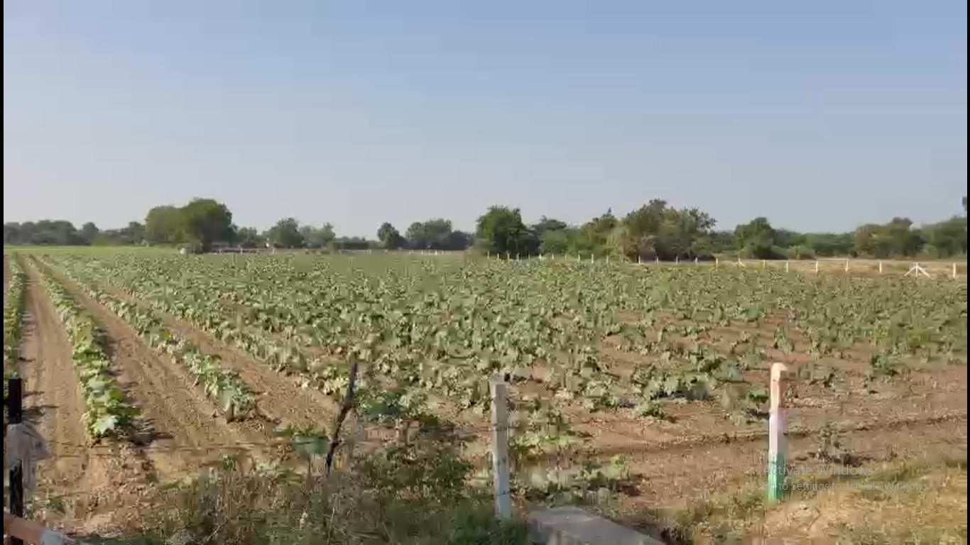 JR1004 - દેત્રોજ - રામપુરા (ભગાપુરા ગામ માં) ટોટલ 12 વીઘાં જગ્યા વેચવાની છે - (જિલ્લો - અમદાવાદ)