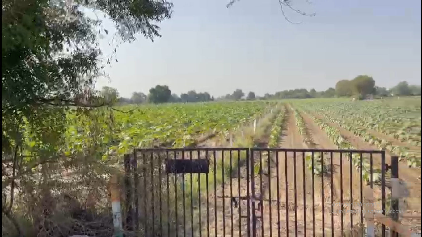 JR1004 - દેત્રોજ - રામપુરા (ભગાપુરા ગામ માં) ટોટલ 12 વીઘાં જગ્યા વેચવાની છે - (જિલ્લો - અમદાવાદ)